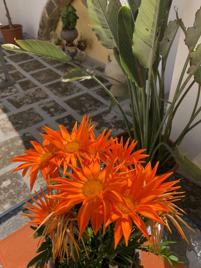 Corte La Rosa Nardò 外观 照片